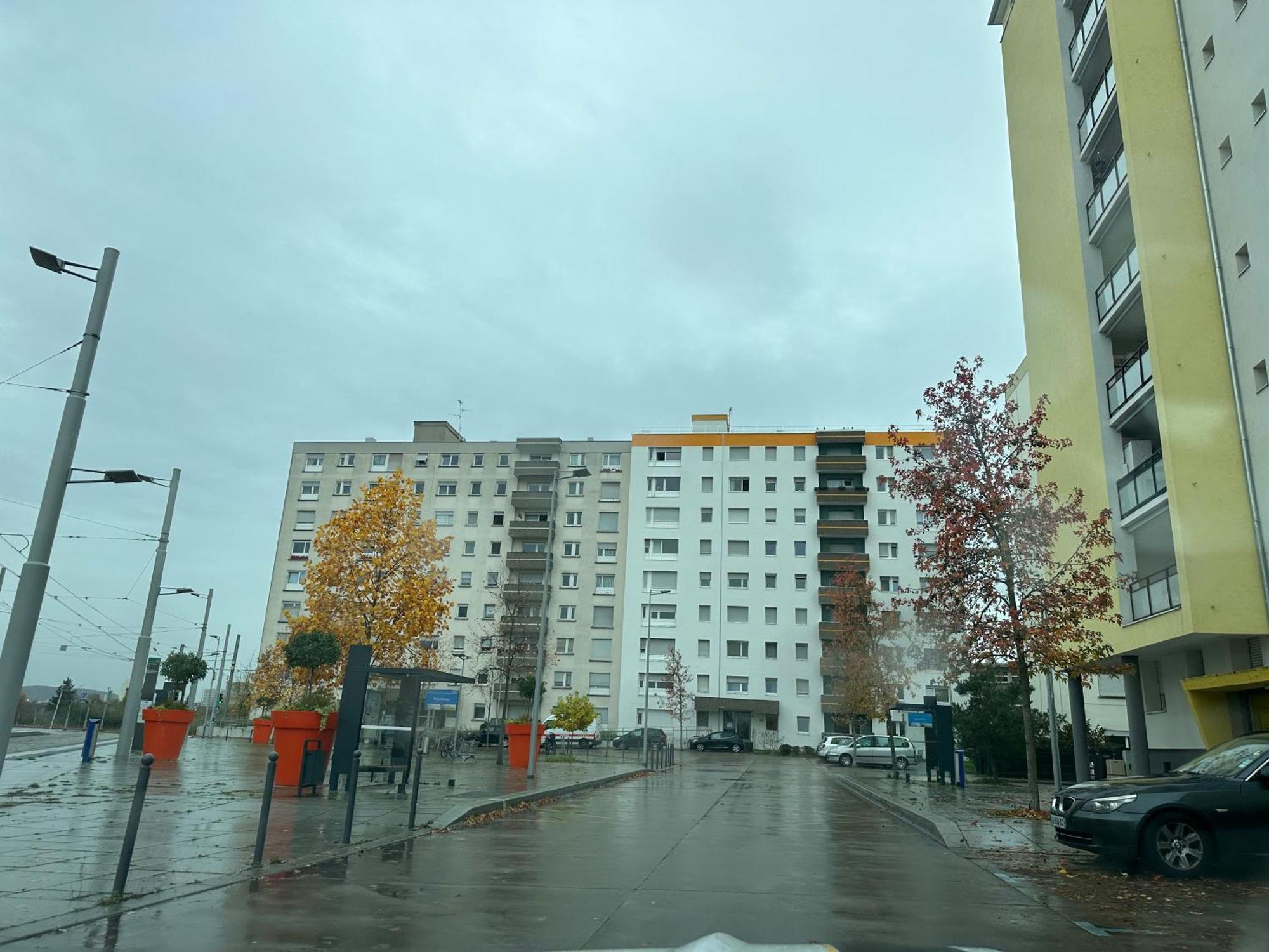 Magnifique Studio Avec Netflix 圣路易 外观 照片